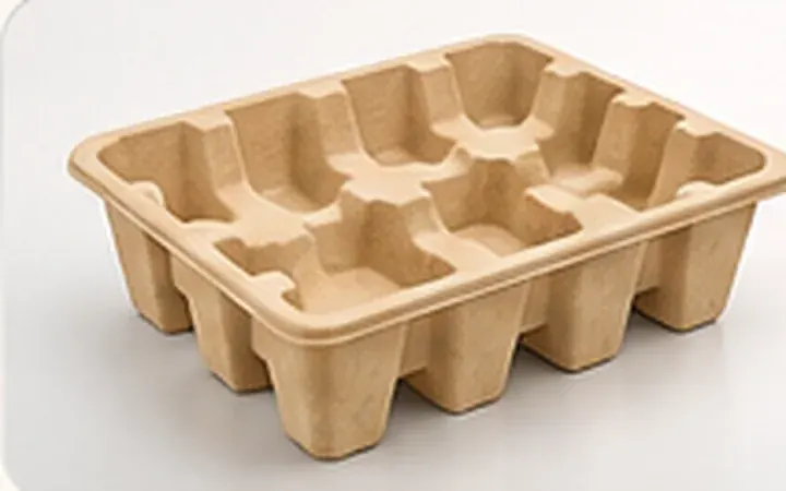 Illustrative moulded paper pulp tray